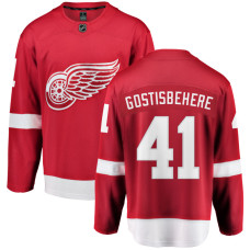 Youth Detroit Red Wings Gostisbehere,Shayne - 41 Red Home Breakaway Authentic Jersey