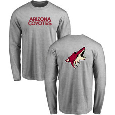 Arizona Coyotes Gray Team Mark Long Sleeve T-shirt