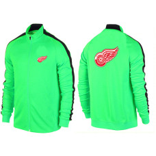 Detroit Red Wings Apple Green Full-Zip One Color Team Hoodie