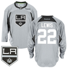 Los Angeles Kings Trevor Lewis #22 Gray Practice Jersey