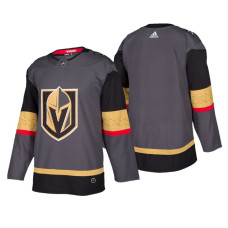 Vegas Golden Knights Authentic Blank Home Jersey Gray