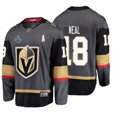 Vegas Golden Knights #18 James Neal Grey Home Bound Breakaway Player Jersey With 2023 Stanley Cup Patch