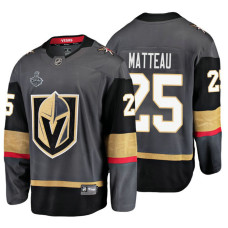 Vegas Golden Knights #25 Stefan Matteau Grey Home 2018 Stanley Cup Final Bound Breakaway Player Jersey