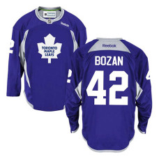 Toronto Maple Leafs Tyler Bozak #42 Purple Practice Jersey