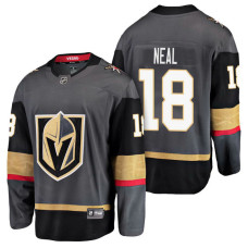 Vegas Golden Knights #18 Breakaway Player James Neal Jersey Grey