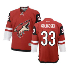 Youth Arizona Coyotes Alex Goligoski #33 Garnet Home Premier Jersey