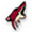 Arizona Coyotes Player Jersey Online